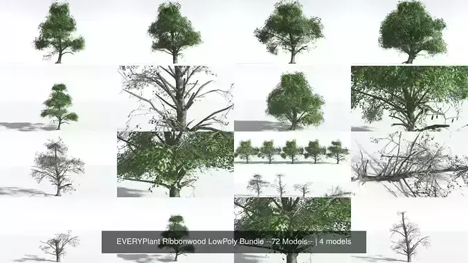 EVERYPlant Ribbonwood LowPoly Bundle --72 Models-- 3D Model Collection