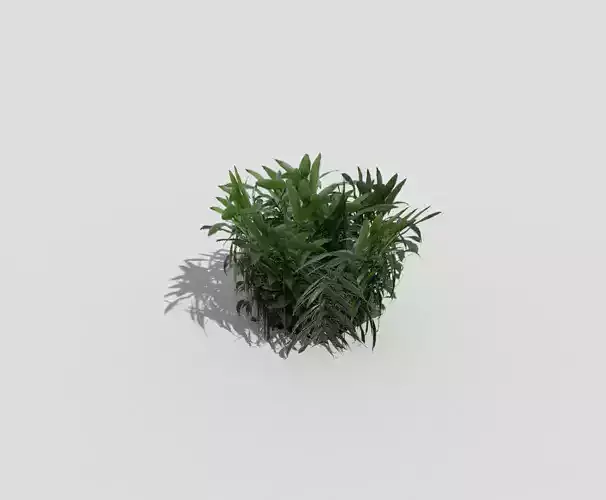 Low poly Plant