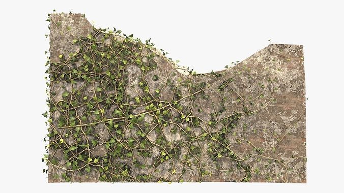 4K Ruined Brick Wall With Ivy Low-poly 3D model