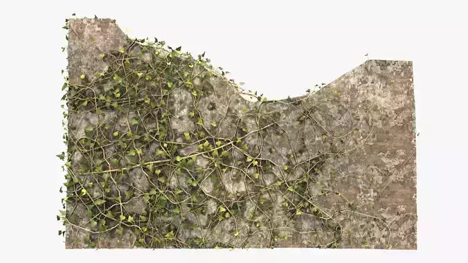 4K Ruined Brick Wall With Ivy