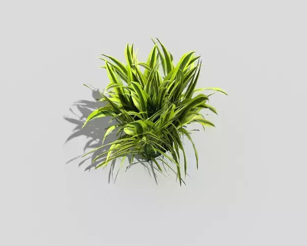 Low poly Plant in pot