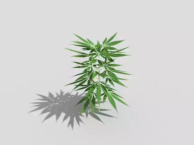 low poly pot plant 1