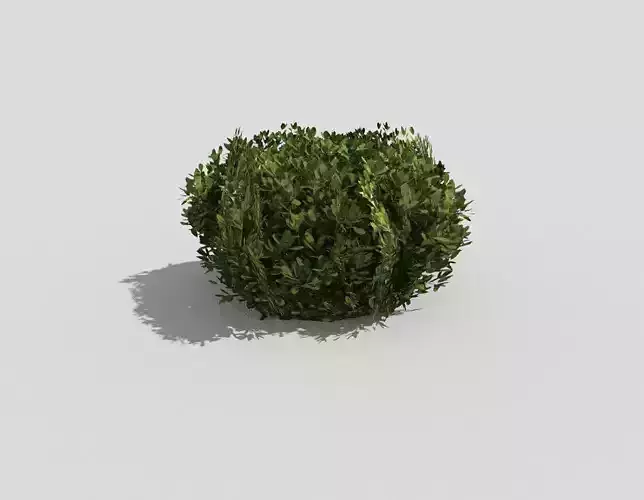 low poly shrub topiary Low-poly 3D model