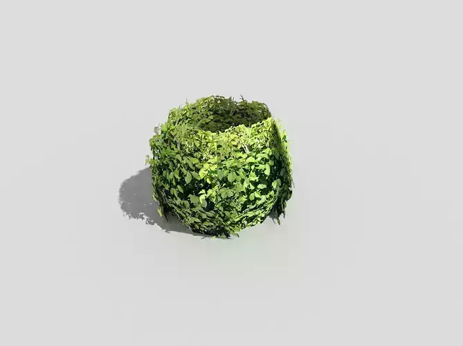 low poly shrub ivy bush Low-poly 3D model