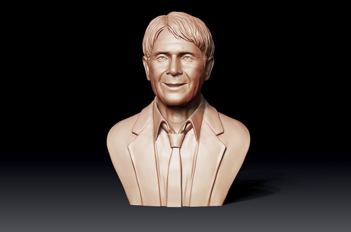 Cliff Richard 3D print model_24