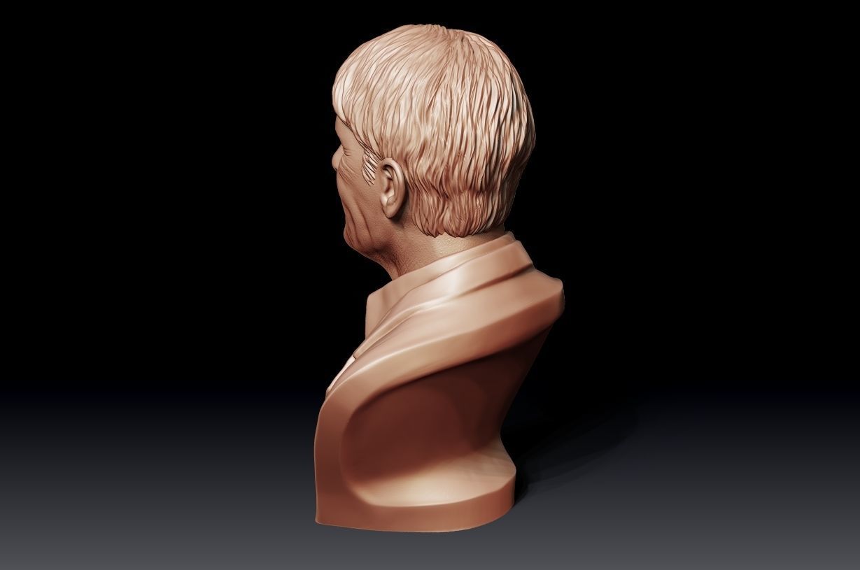 Cliff Richard 3D print model_21