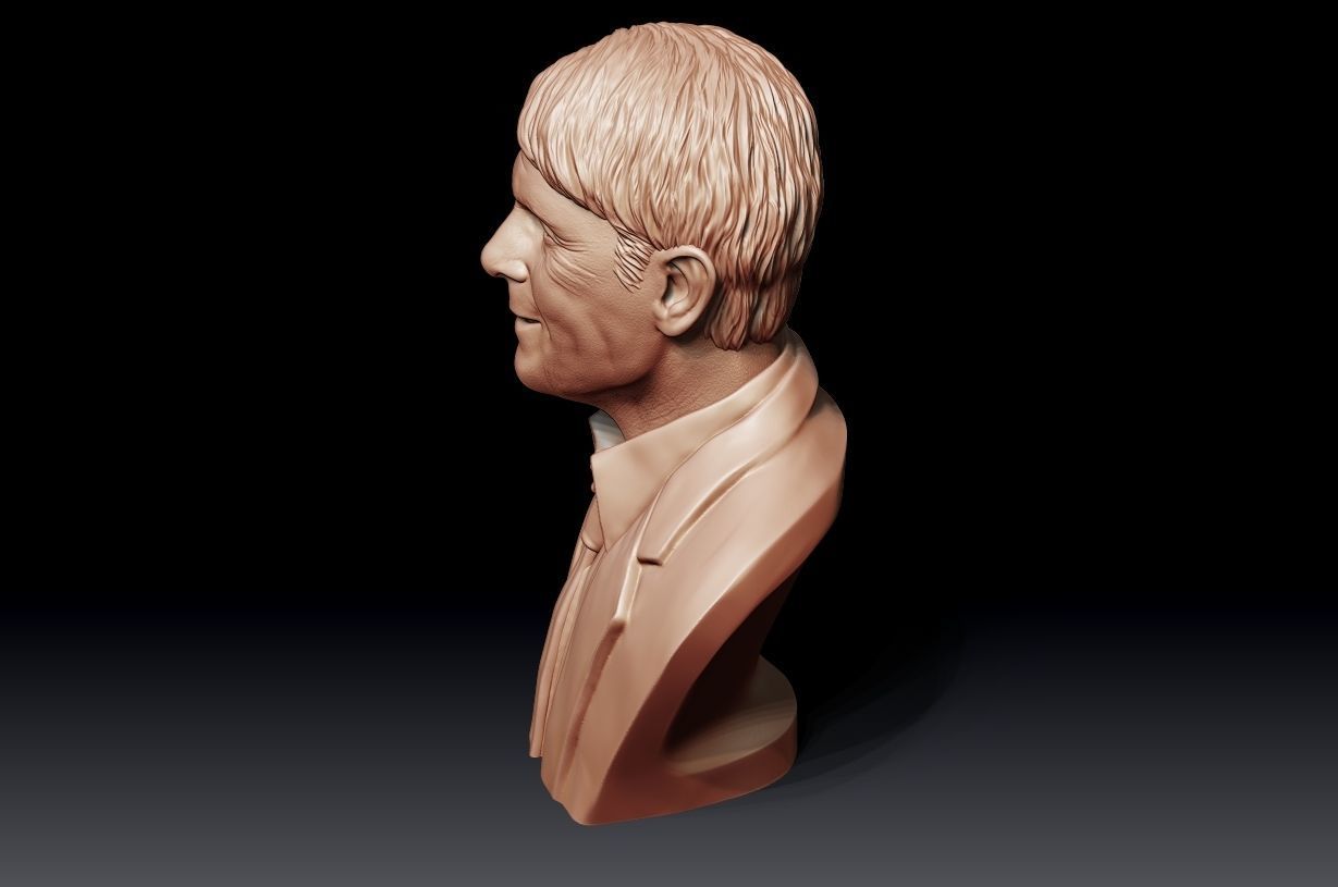 Cliff Richard 3D print model_22