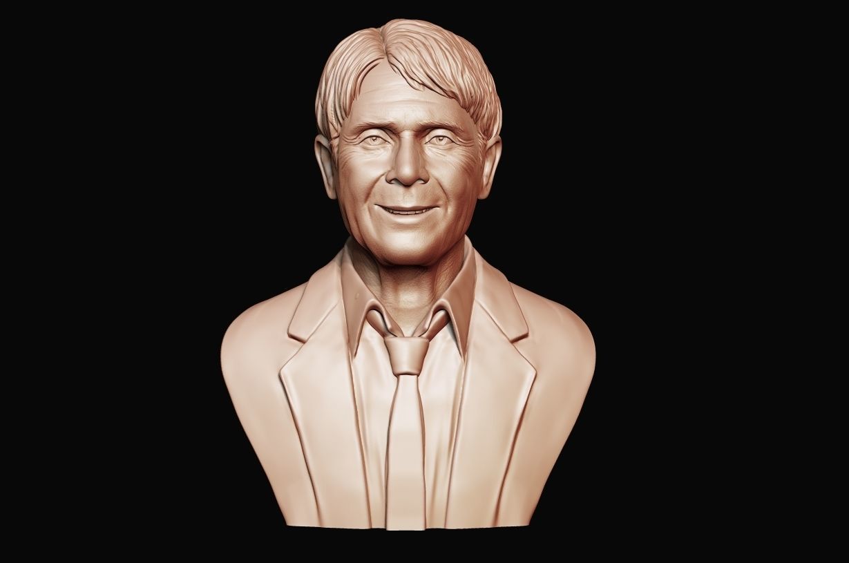 Cliff Richard 3D print model_16