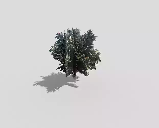 low poly tree