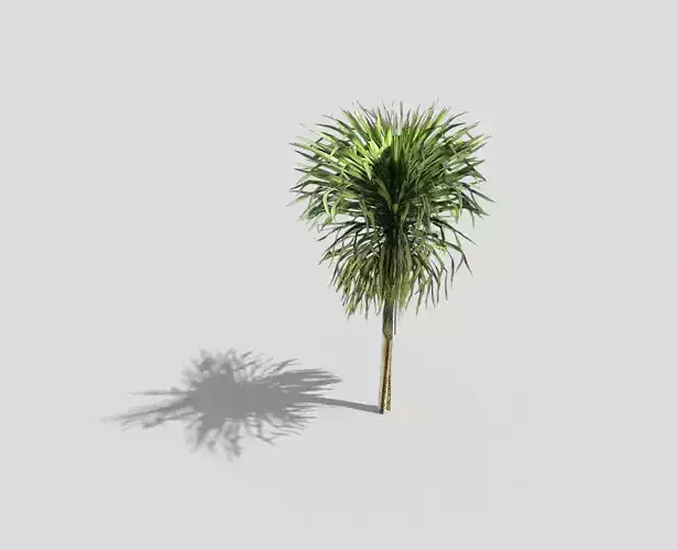 low poly tropical tree Low-poly 3D model