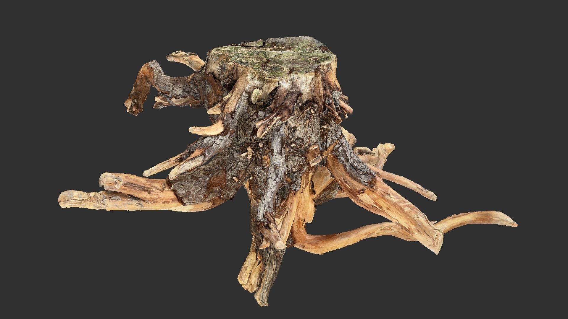 Tree Root 3D Scan 3D model_7