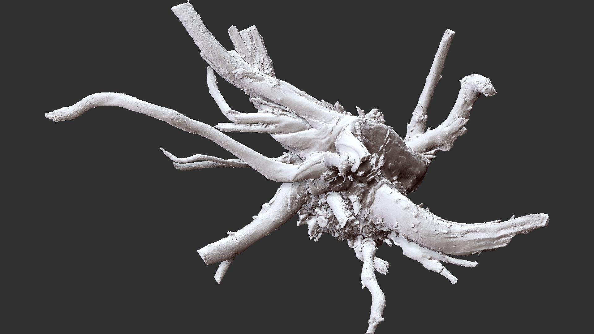 Tree Root 3D Scan 3D model_27