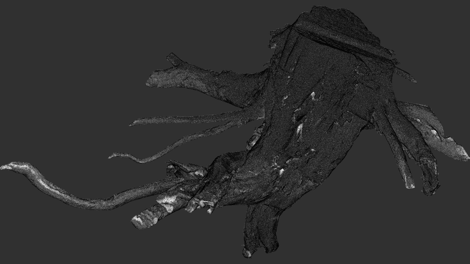 Tree Root 3D Scan 3D model_29
