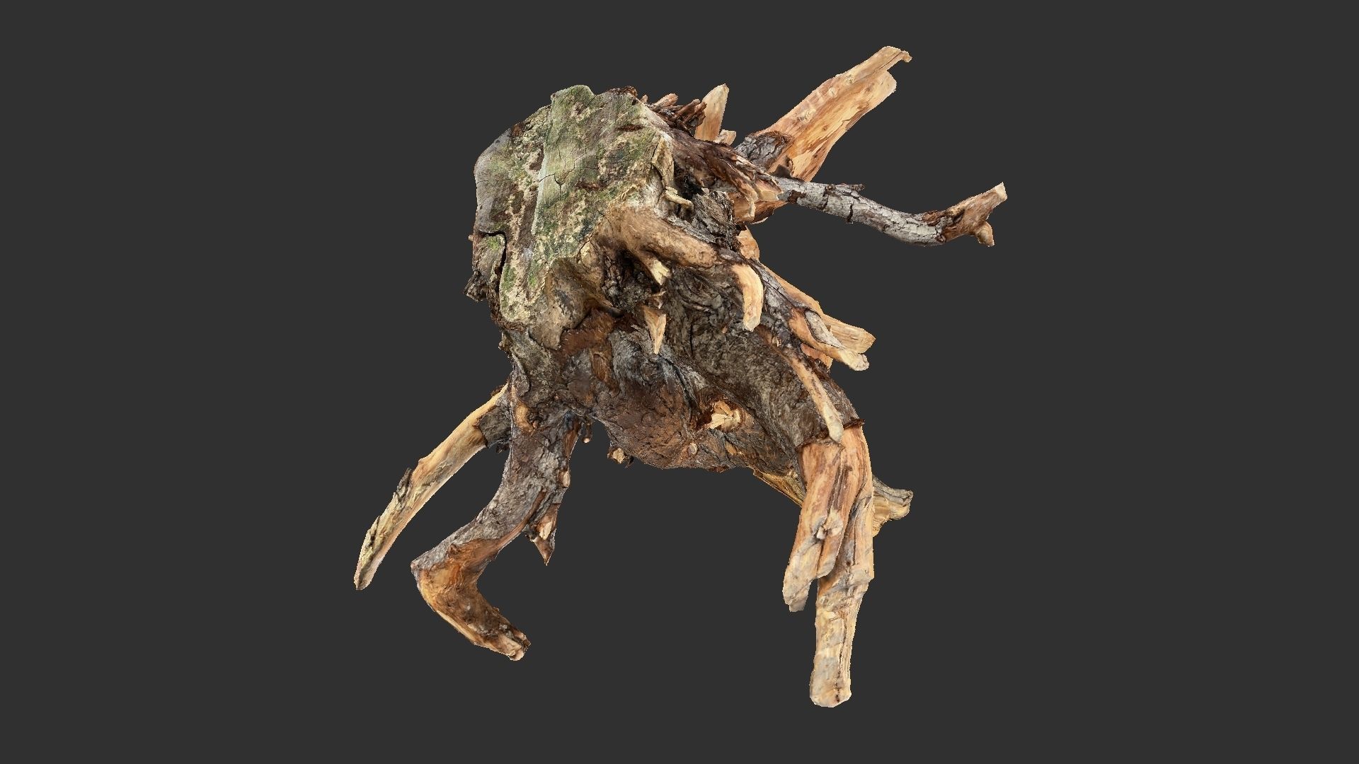 Tree Root 3D Scan 3D model_1