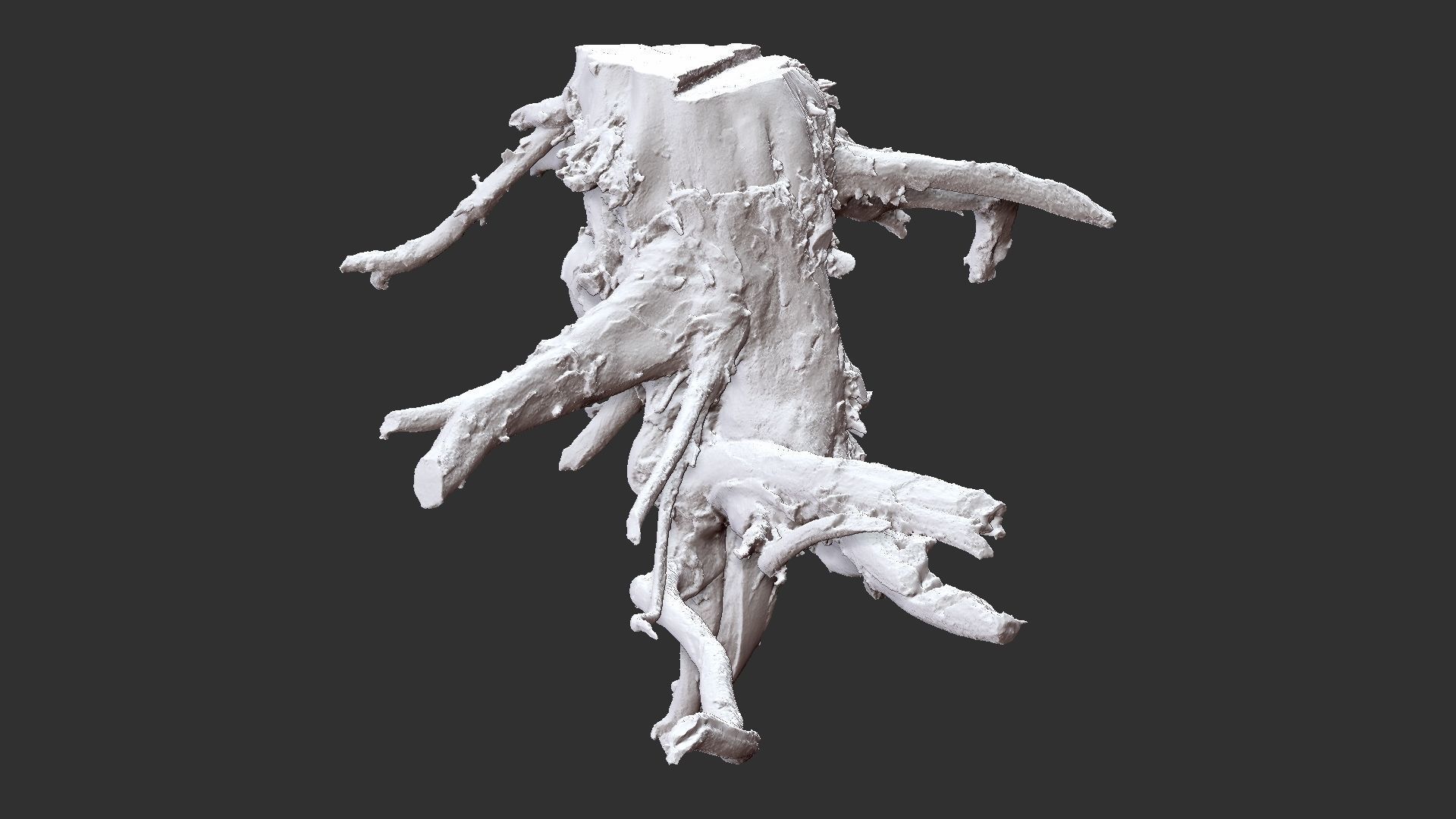 Tree Root 3D Scan 3D model_25