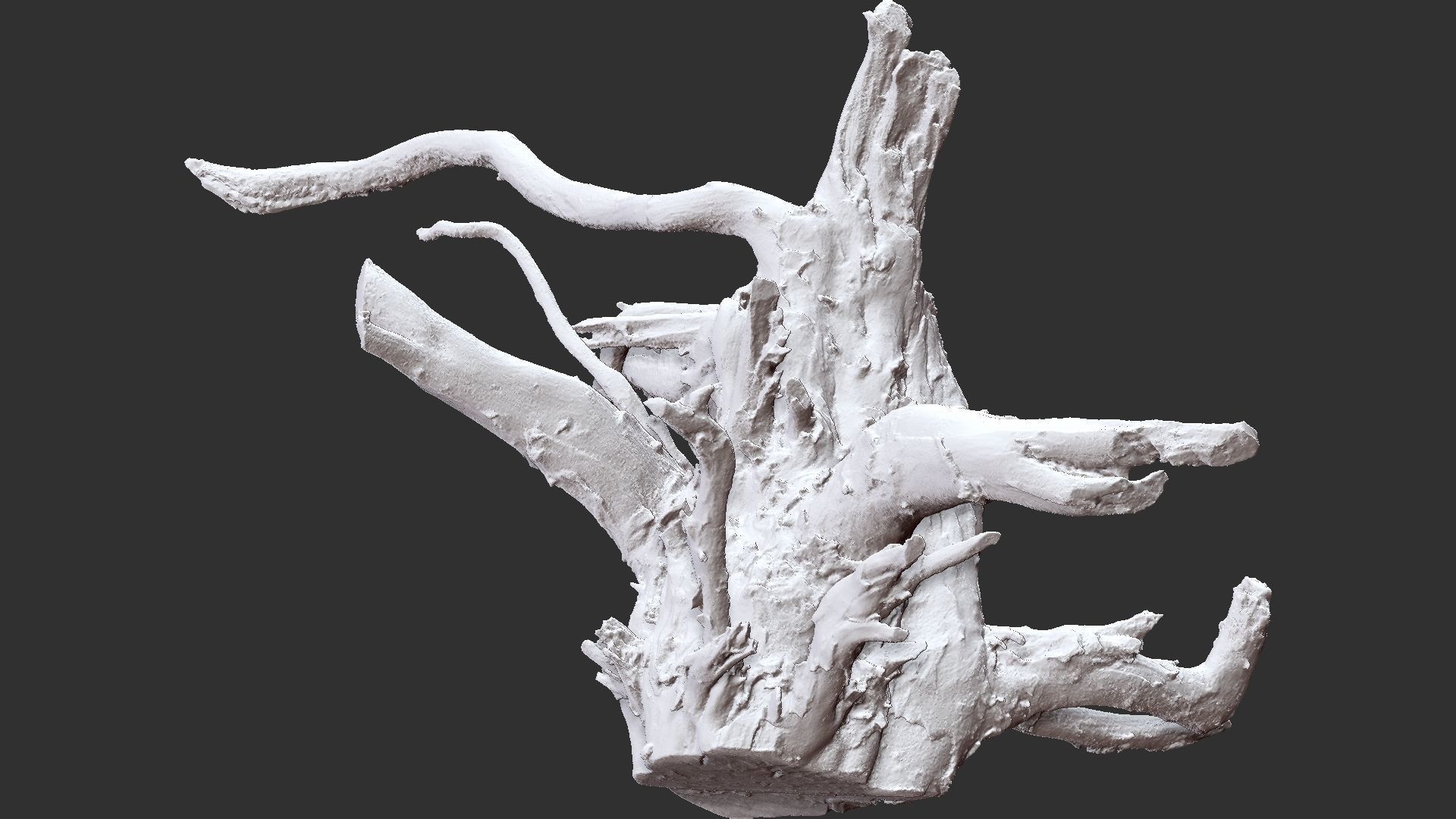 Tree Root 3D Scan 3D model_26