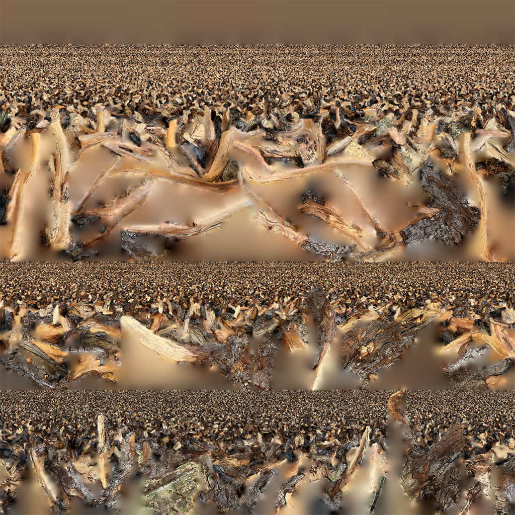 Tree Root 3D Scan 3D model_30