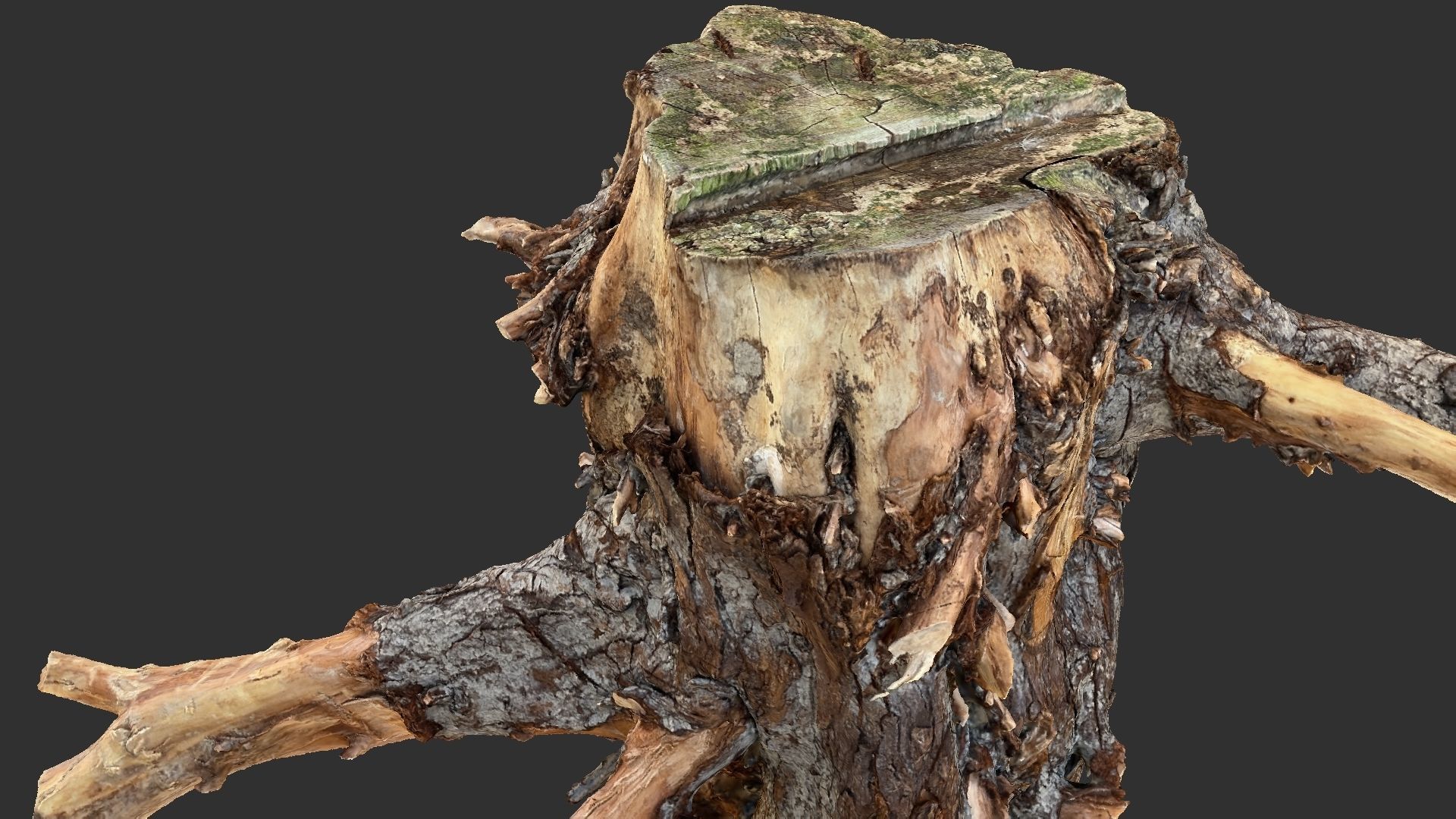 Tree Root 3D Scan 3D model_4