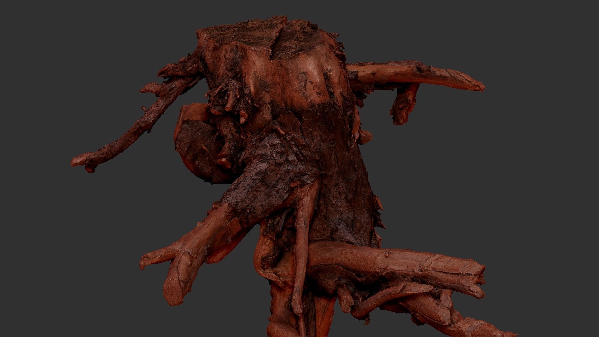 Tree Root 3D Scan 3D model_20