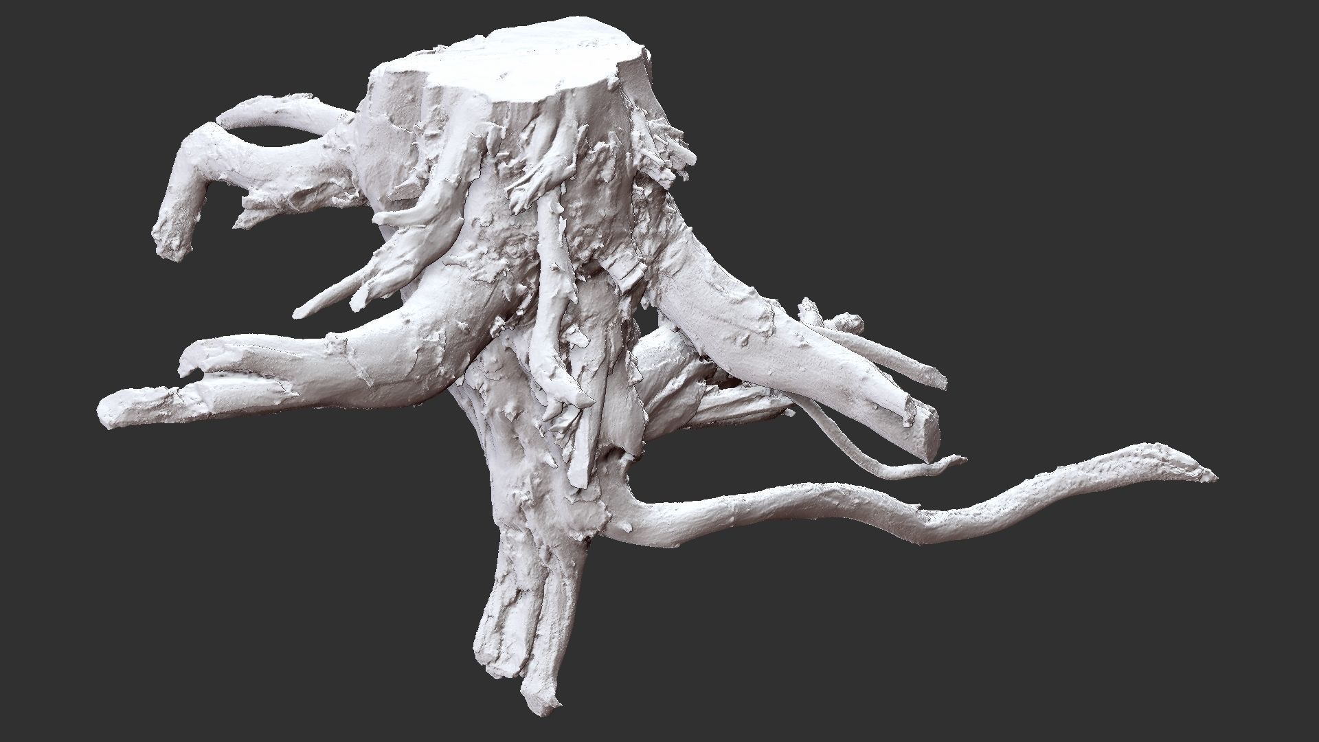 Tree Root 3D Scan 3D model_23