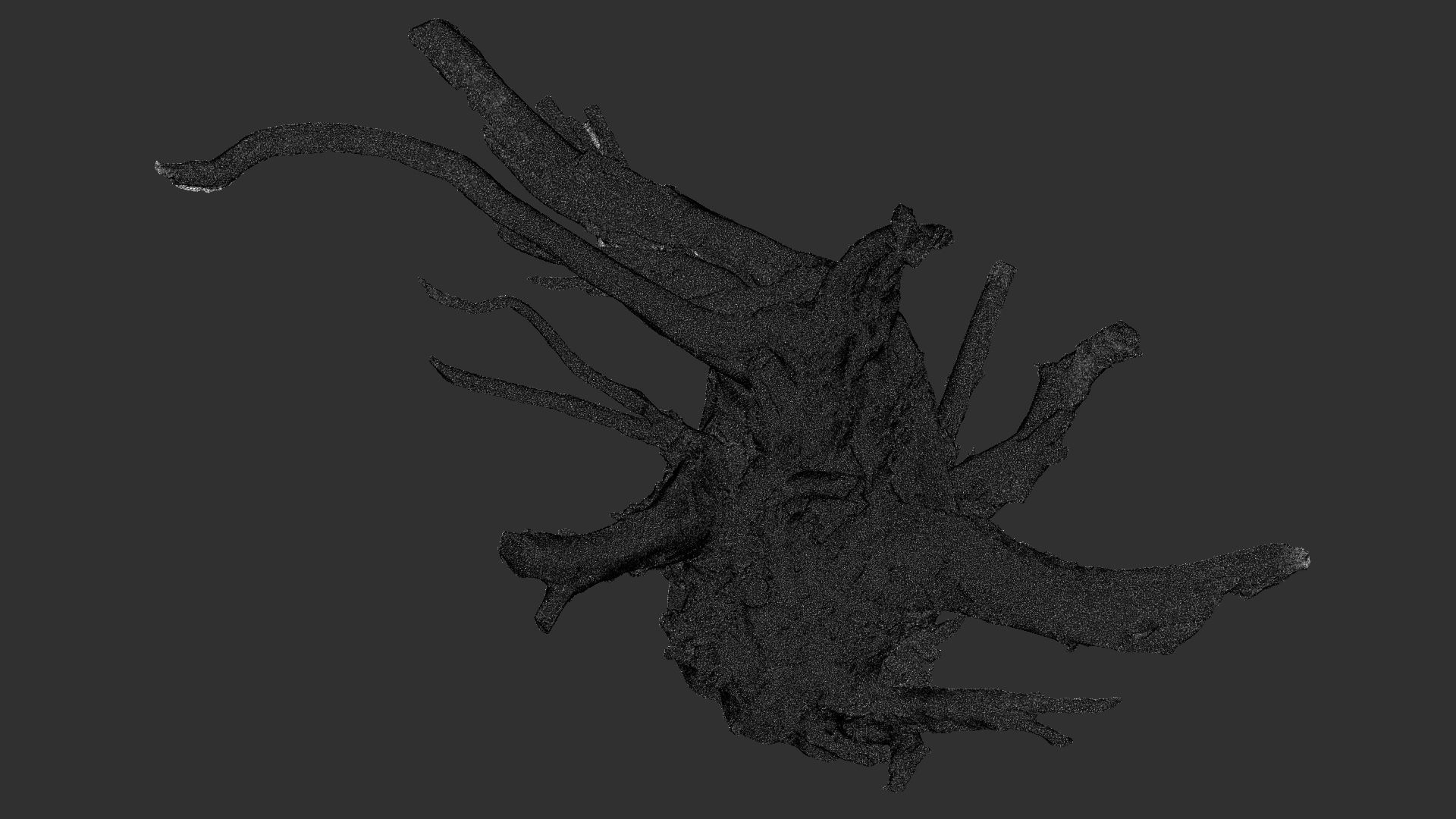 Tree Root 3D Scan 3D model_28