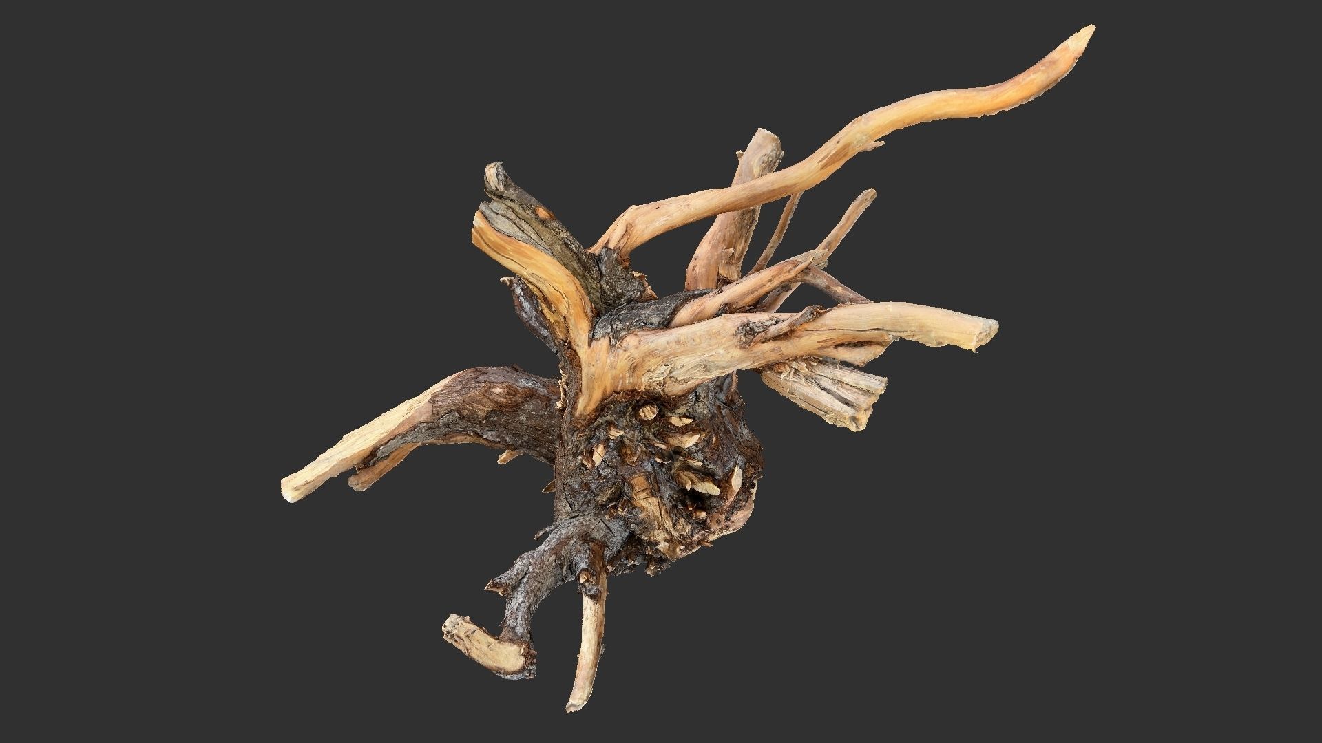 Tree Root 3D Scan 3D model_12