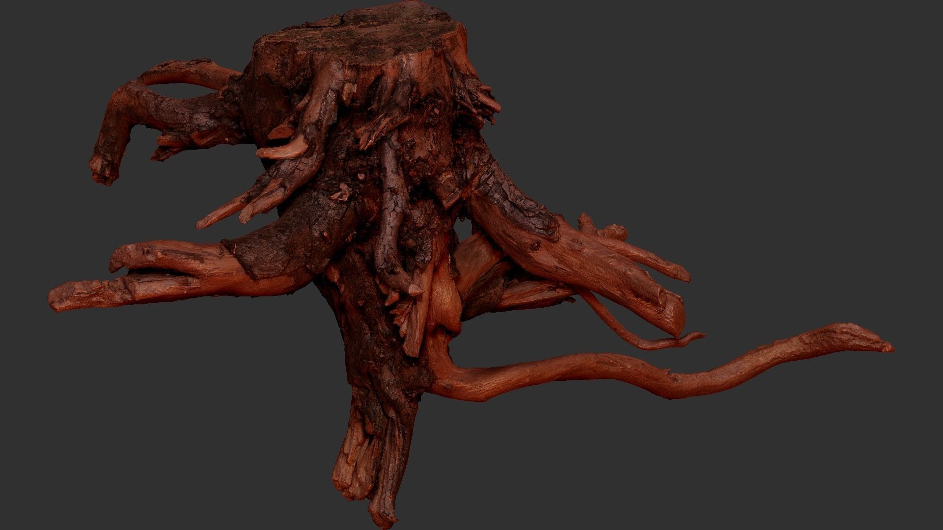Tree Root 3D Scan 3D model_22