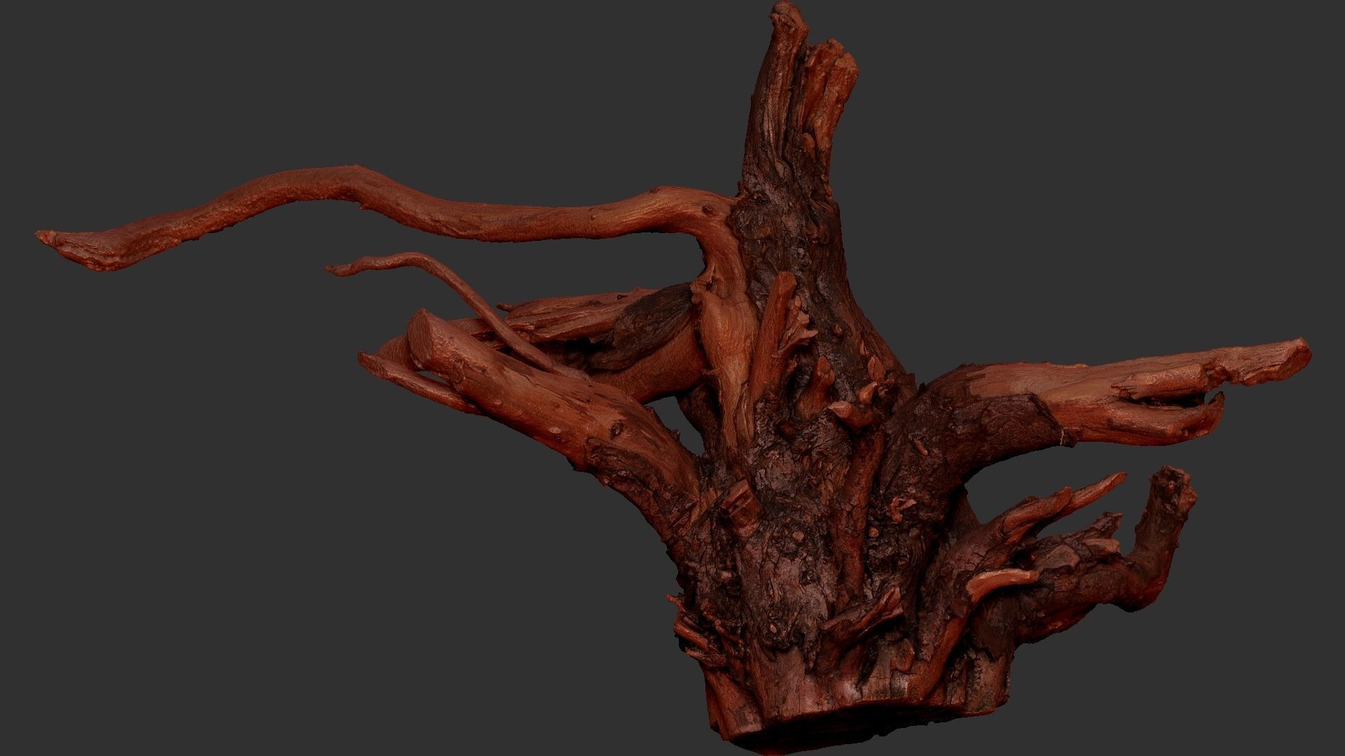 Tree Root 3D Scan 3D model_19