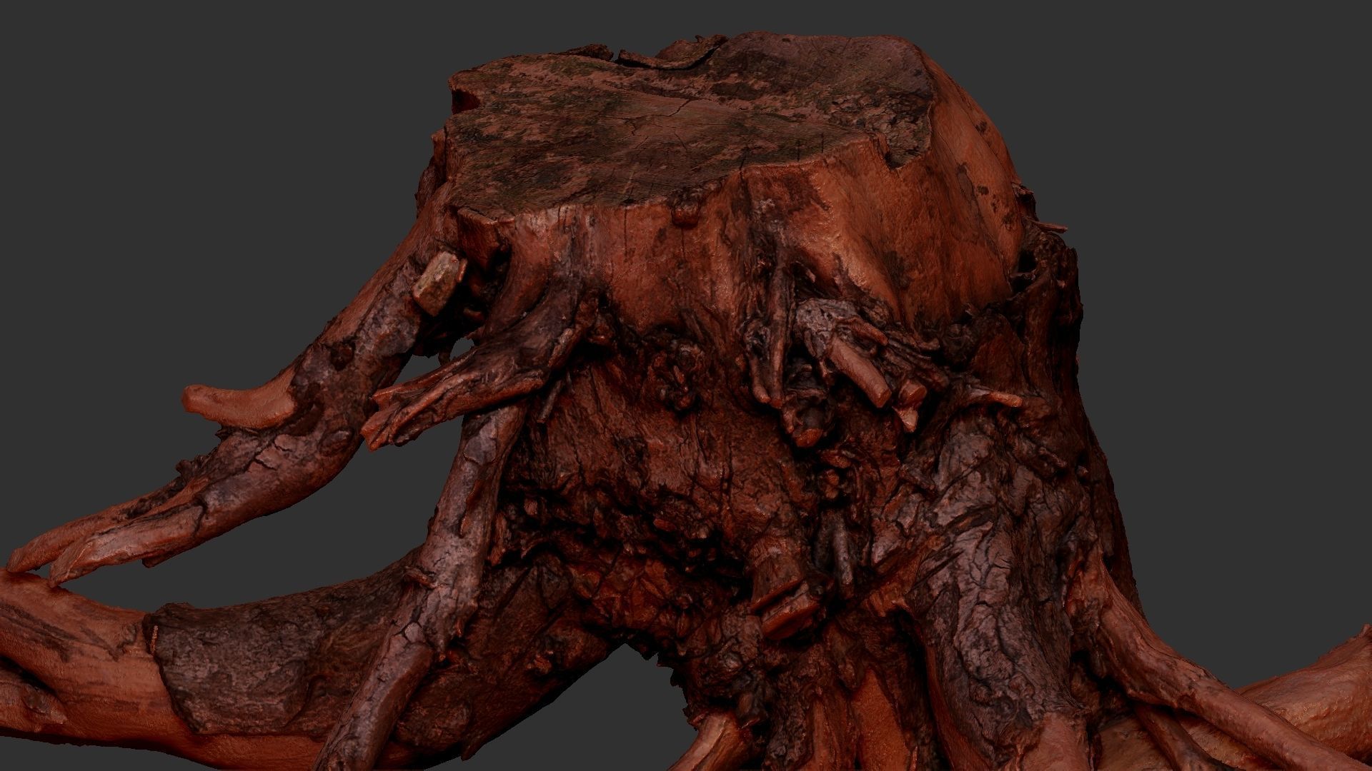 Tree Root 3D Scan 3D model_21