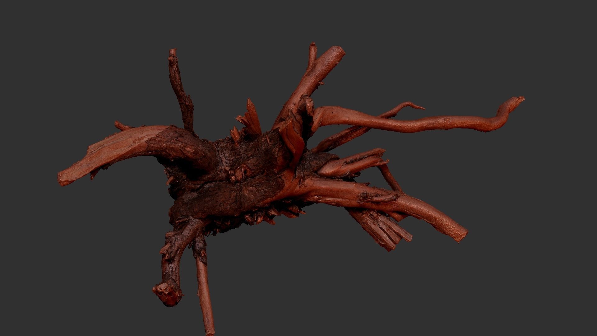 Tree Root 3D Scan 3D model_17