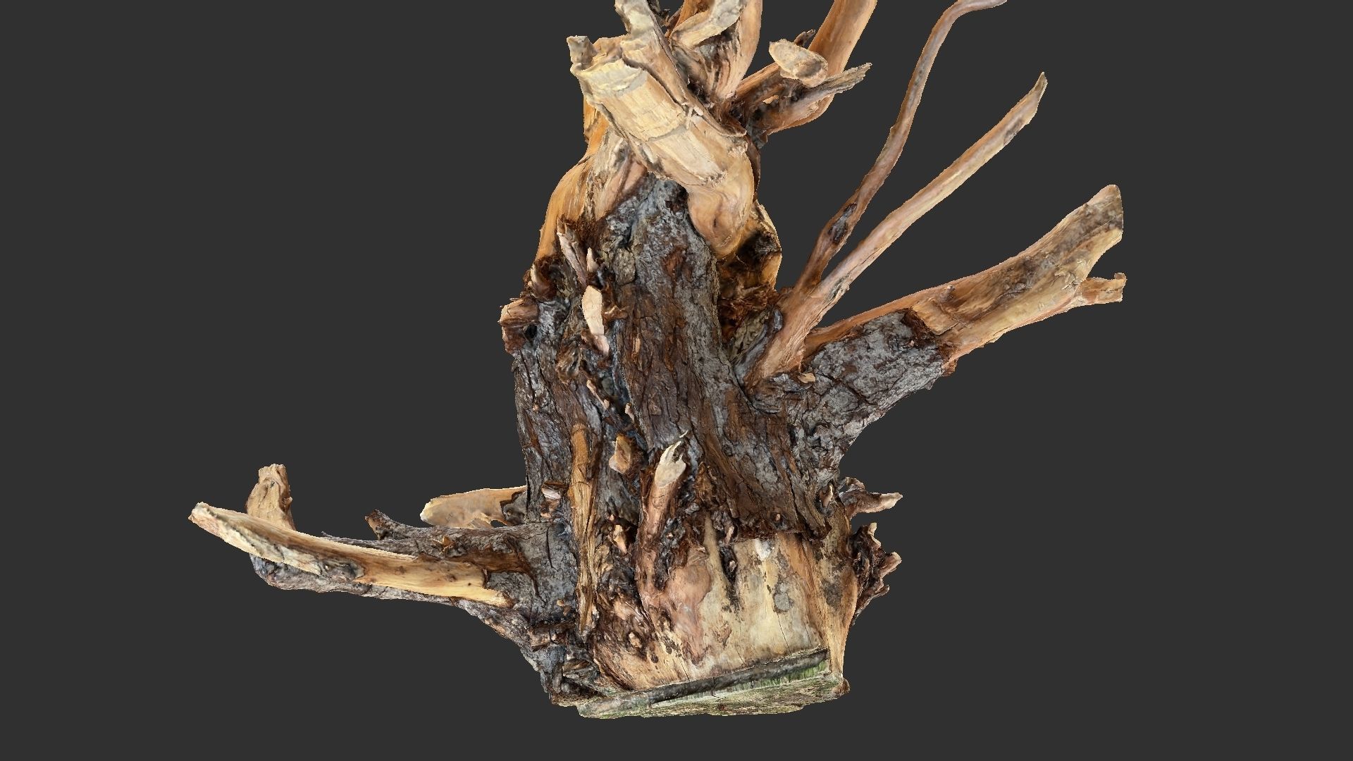 Tree Root 3D Scan 3D model_16