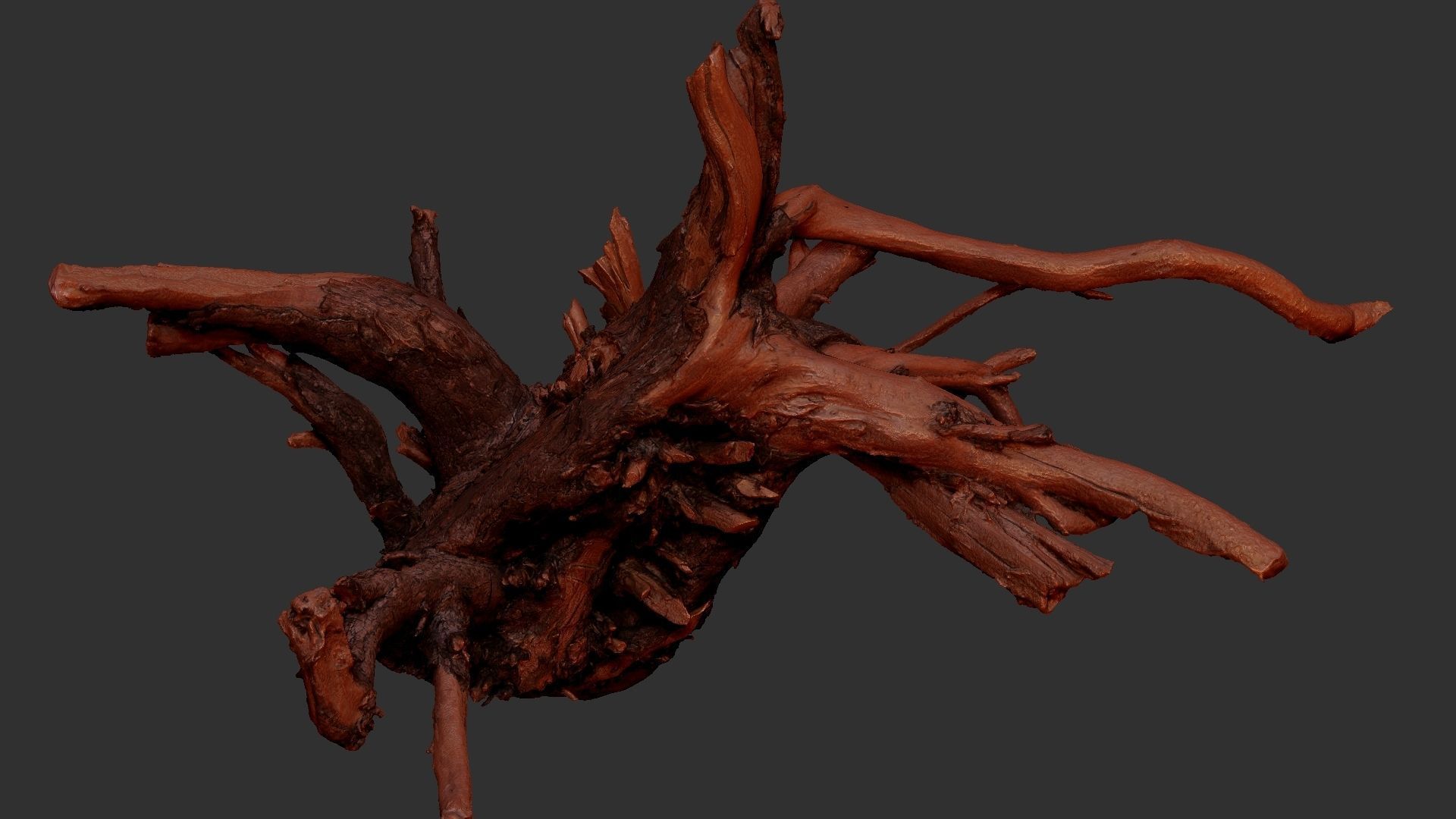 Tree Root 3D Scan 3D model_18