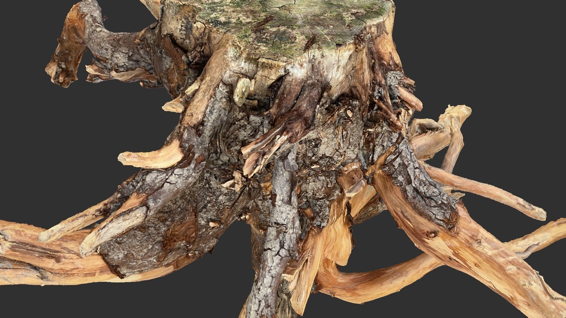 Tree Root 3D Scan 3D model_6