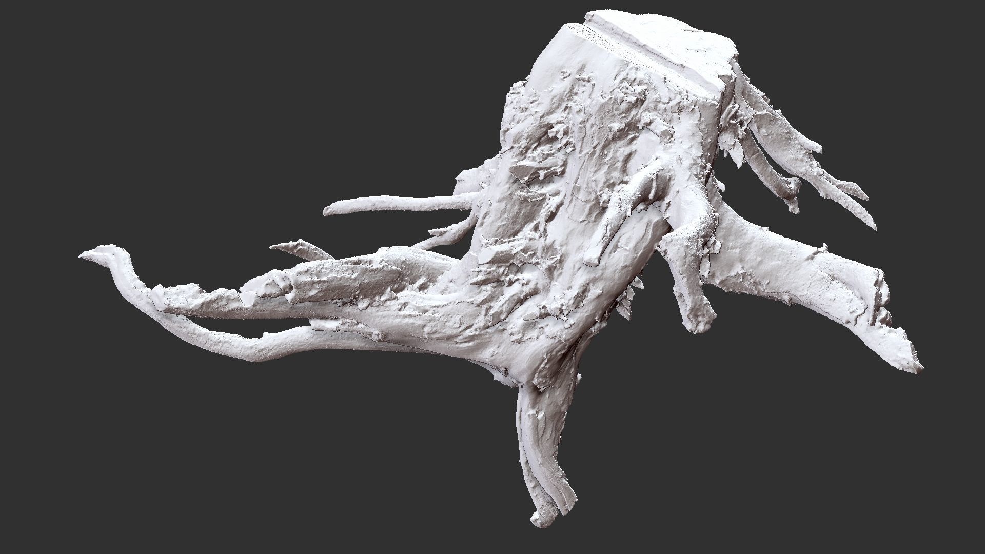 Tree Root 3D Scan 3D model_24