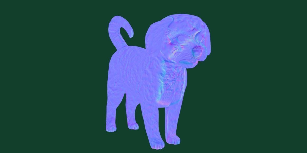 Havanese Dog Breed Marvin 3D model_21
