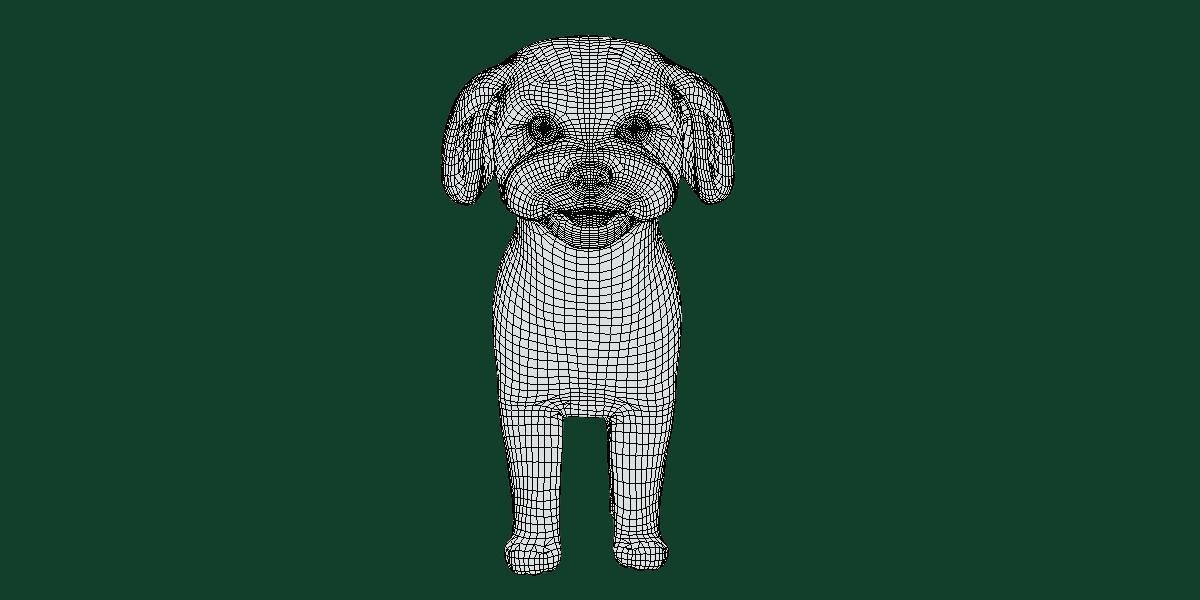 Havanese Dog Breed Marvin 3D model_7