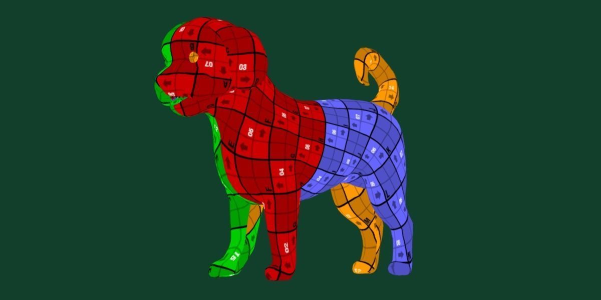 Havanese Dog Breed Marvin 3D model_10