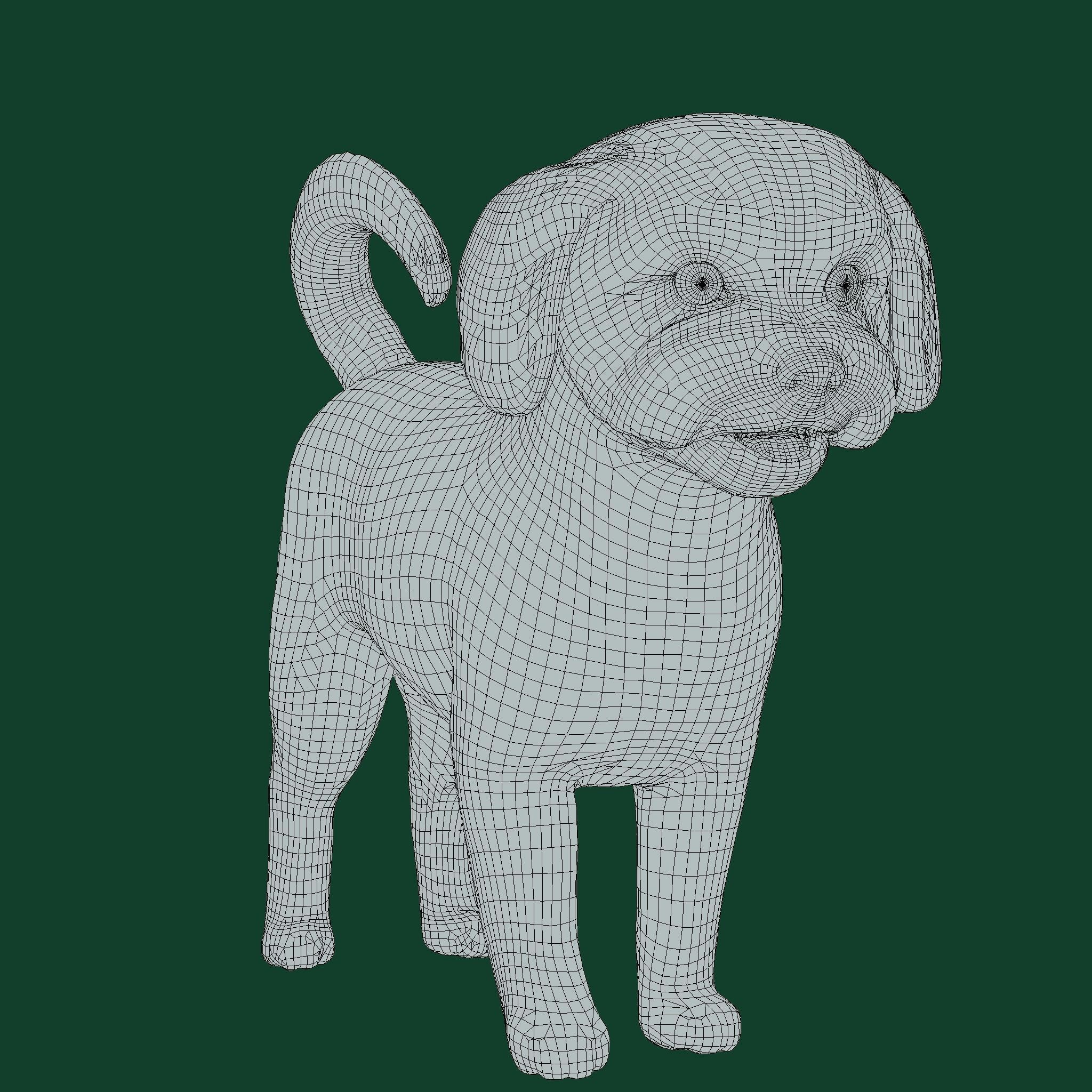 Havanese Dog Breed Marvin 3D model_15