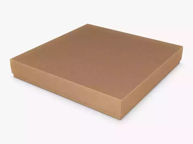 Package Cardboard Box M 5 3D model