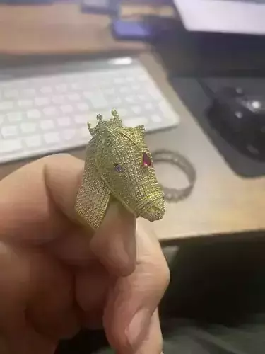 horse ring