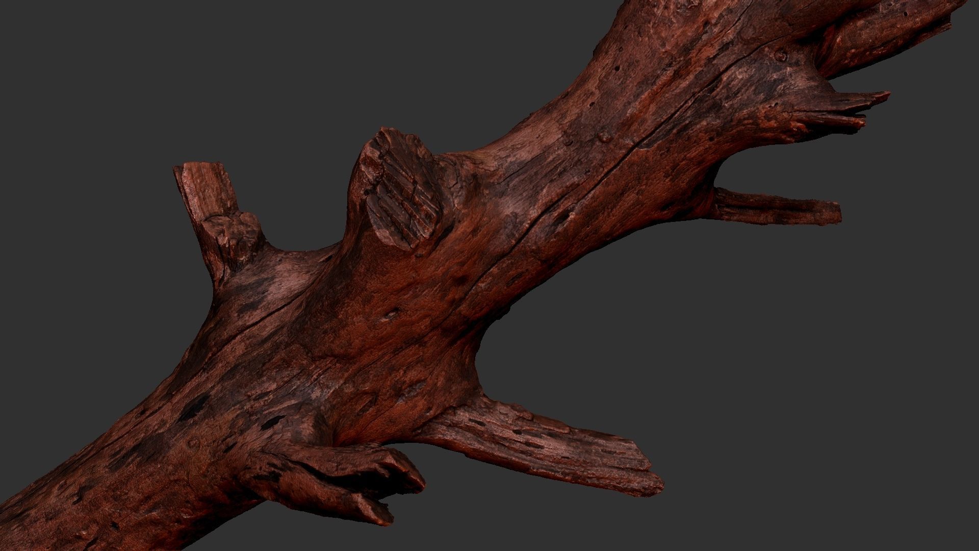 Tree trunk 3D scan 3D model_20