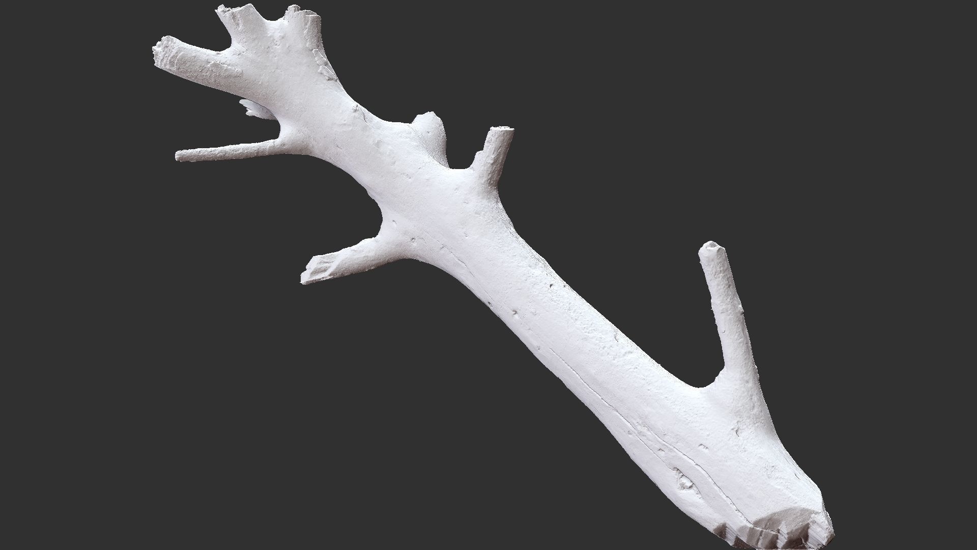 Tree trunk 3D scan 3D model_24