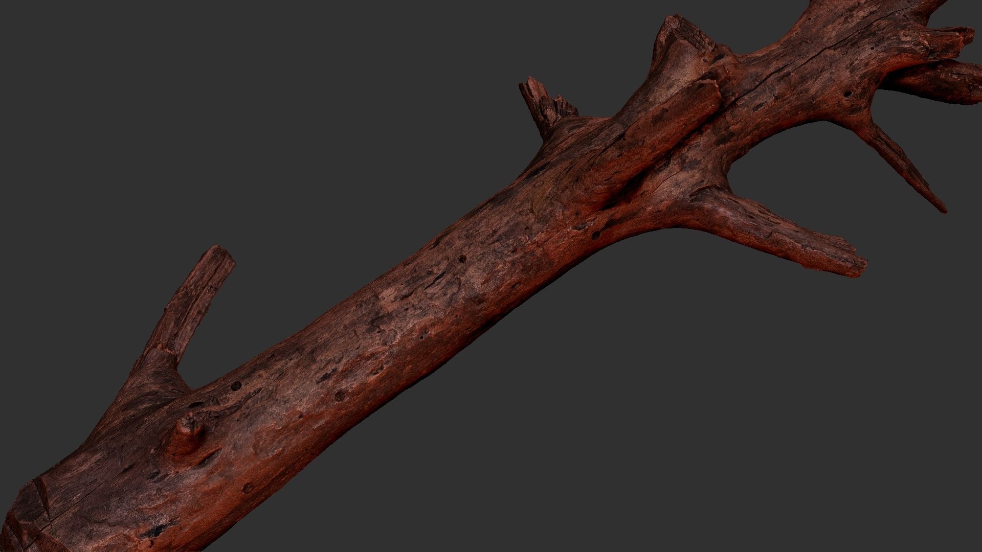 Tree trunk 3D scan 3D model_21