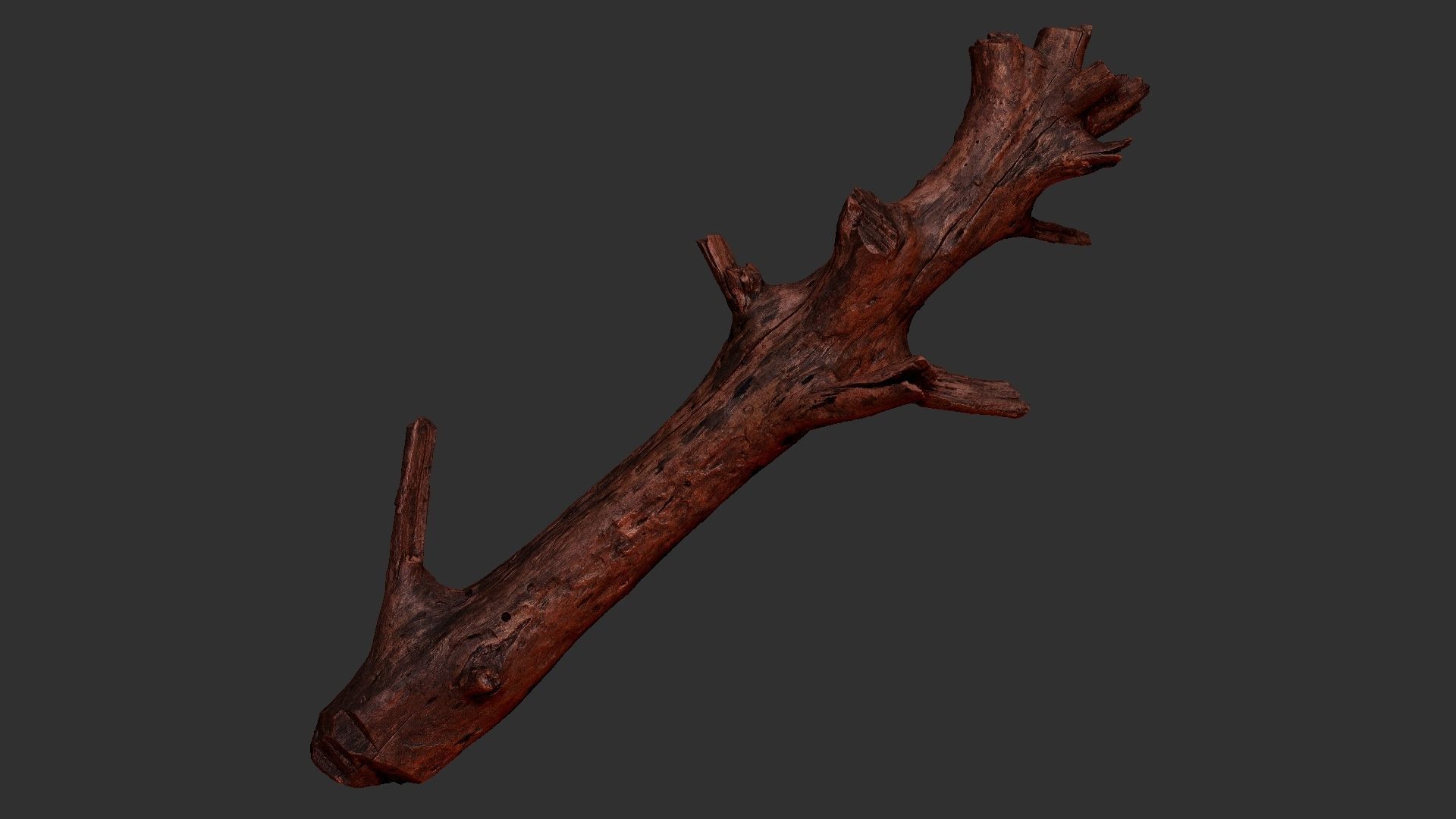 Tree trunk 3D scan 3D model_22
