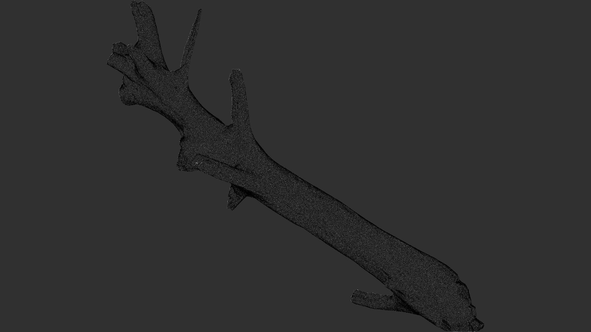 Tree trunk 3D scan 3D model_29