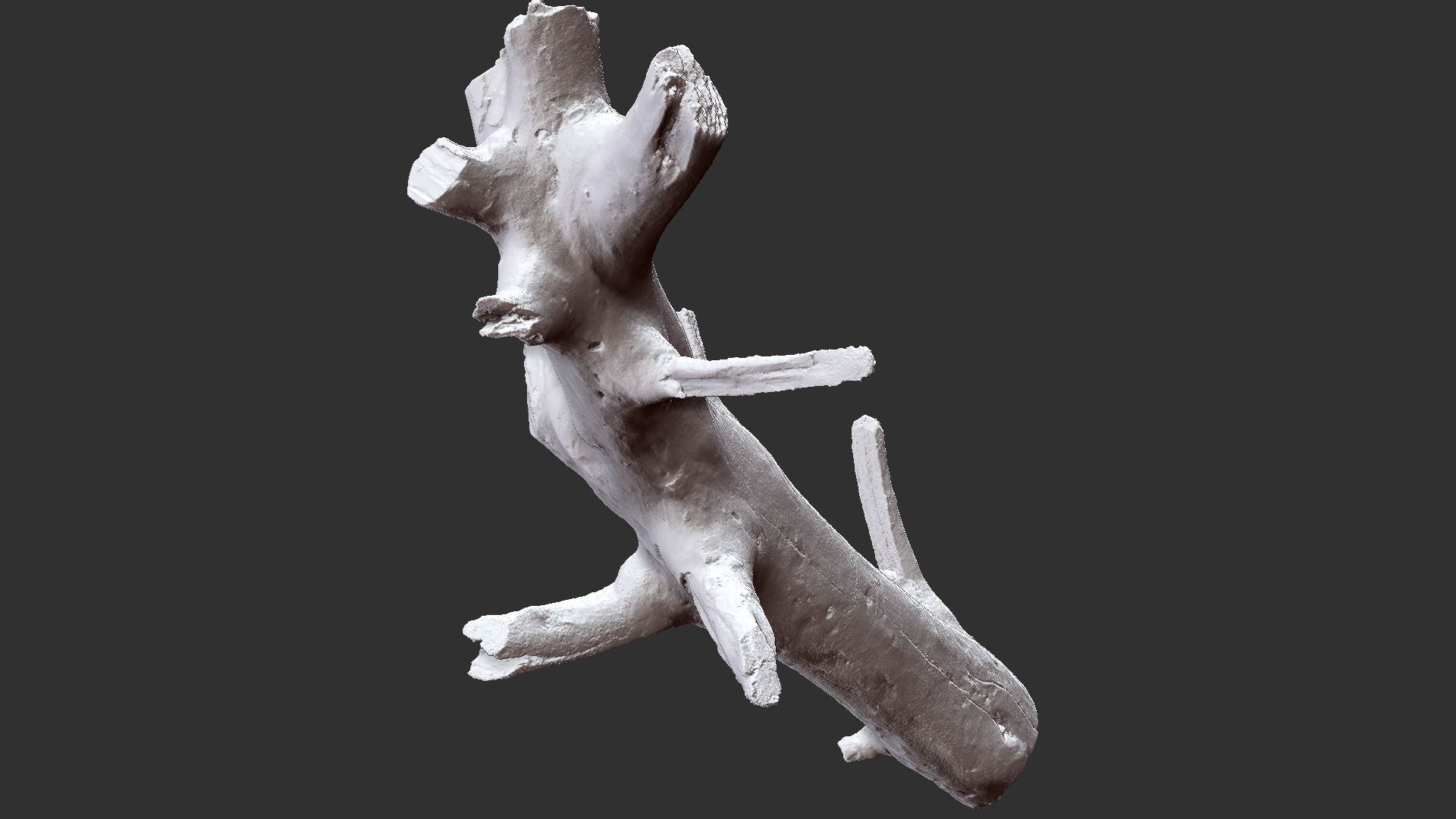 Tree trunk 3D scan 3D model_26