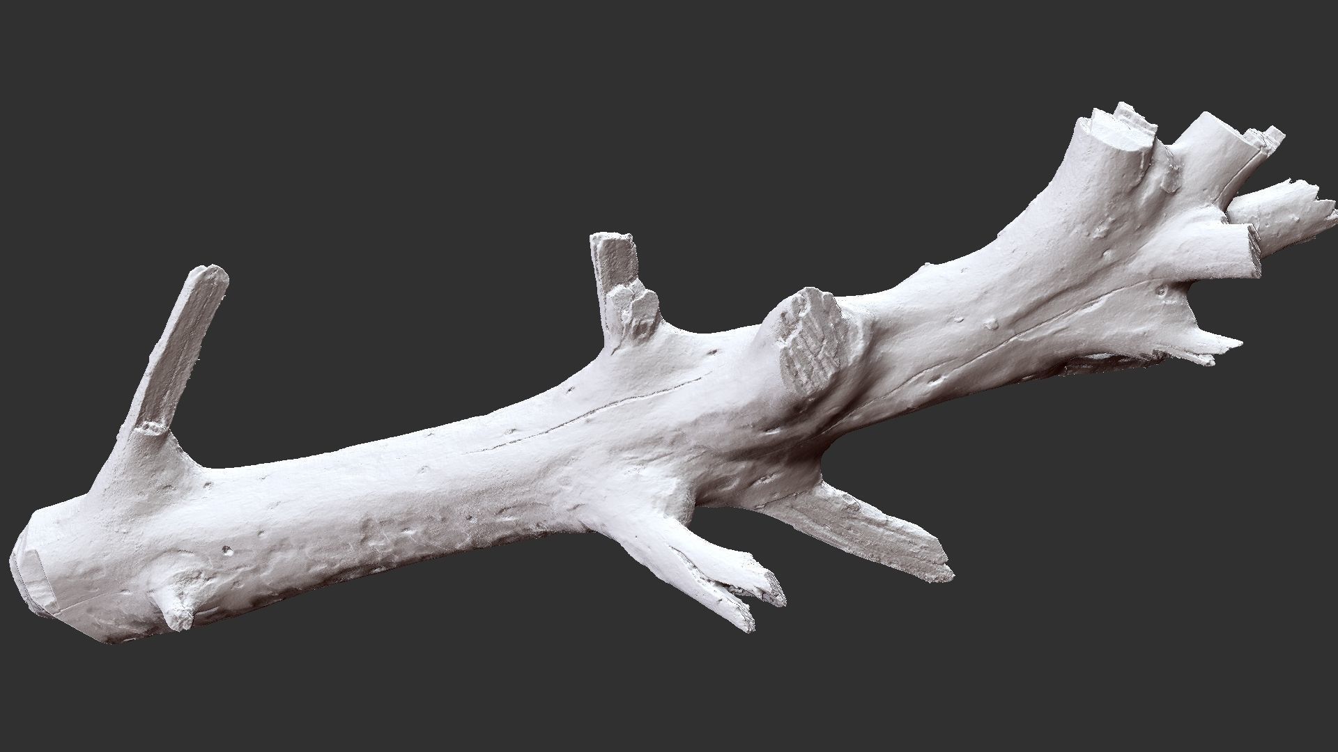 Tree trunk 3D scan 3D model_27