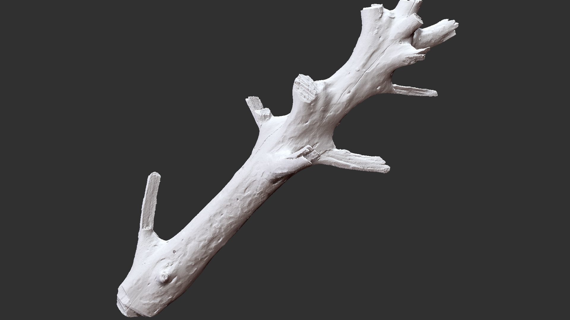 Tree trunk 3D scan 3D model_23