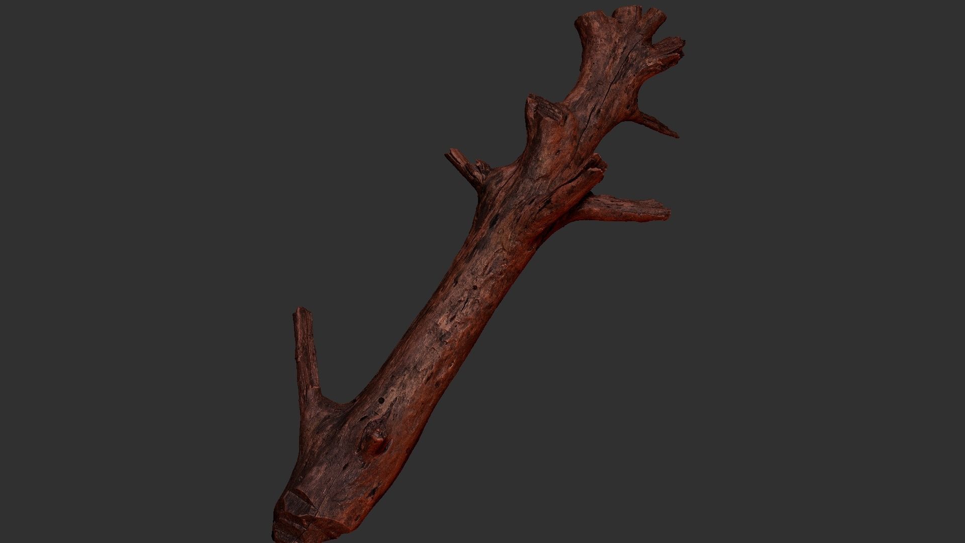 Tree trunk 3D scan 3D model_19
