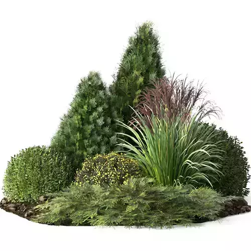 outdoor garden tree plant015 collection